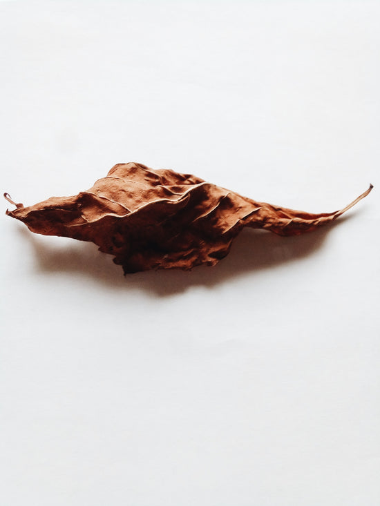 ojo de dios tobacco leaf